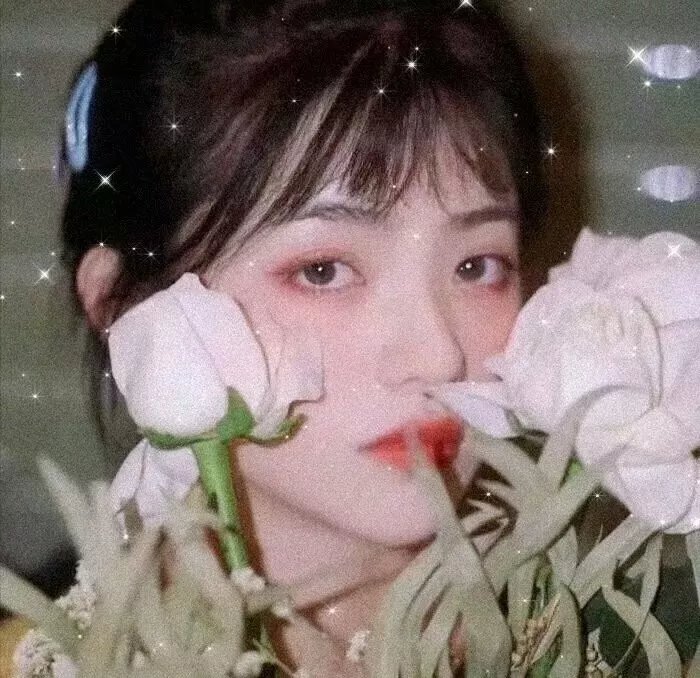 疯狂的果实